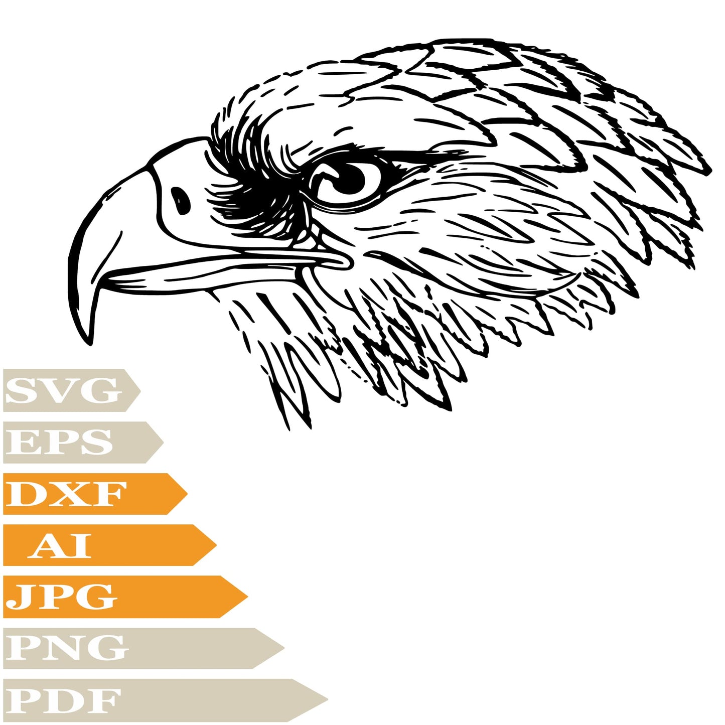 Eagle, Eagle Head Svg File, Image Cut, Png, For Tattoo, Silhouette, Digital Vector Download, Cut File, Clipart, For Cricut