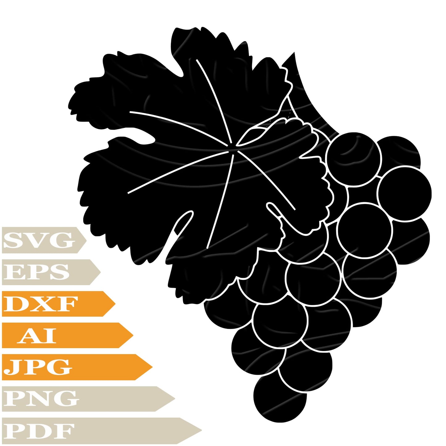 Grape SVG, Wine SVG Design, Vineyard Vector Graphics, Grapes For Cricut, For Tattoo, Clip Art, Cut File, T-Shirts, Silhouette, All Available
