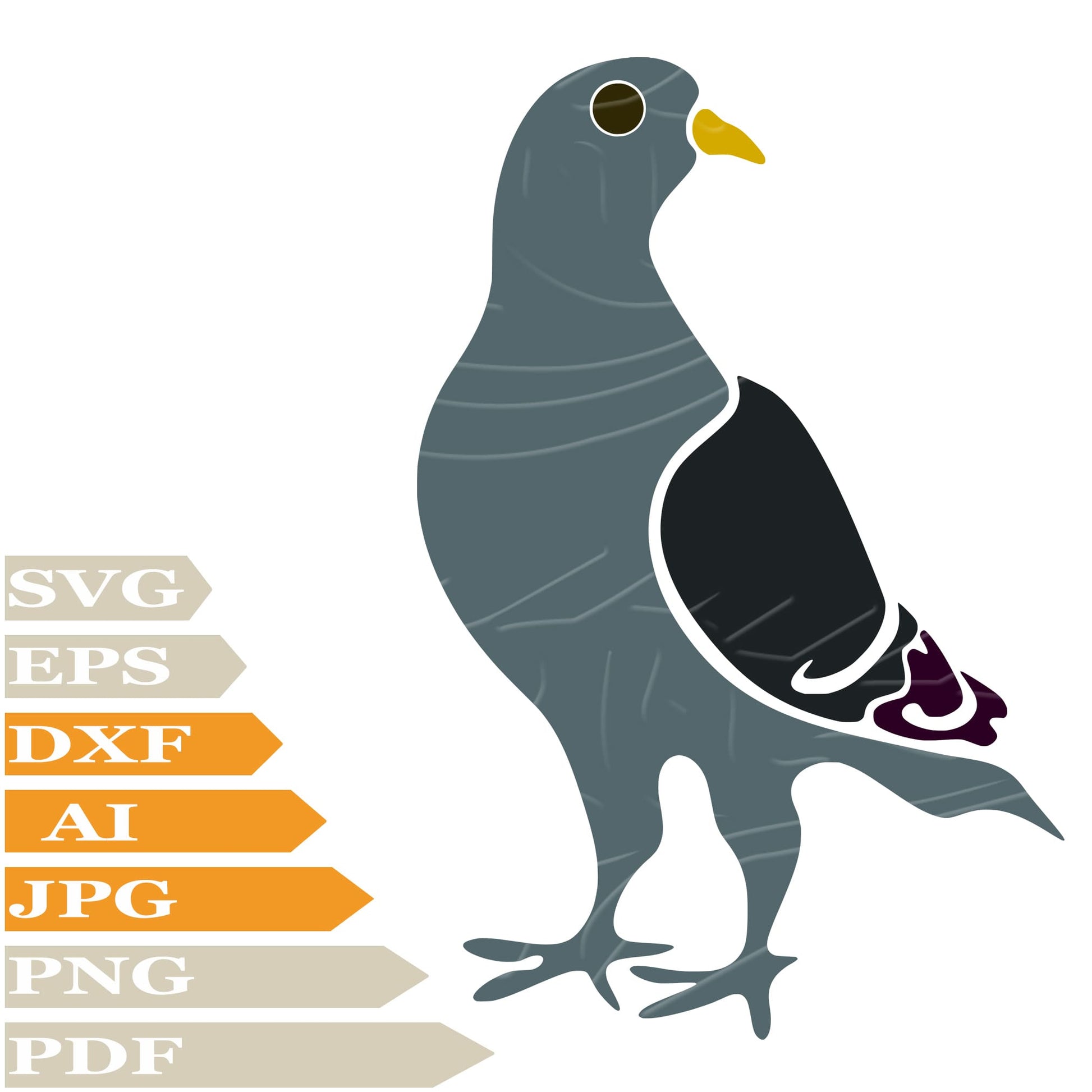 Pigeon SVG, Dove SVG Design, Bird Pigeon Vector Graphics, Pigeon For Cricut, For Tattoo, Clip Art, Cut File, T-Shirts, Silhouette, All Available