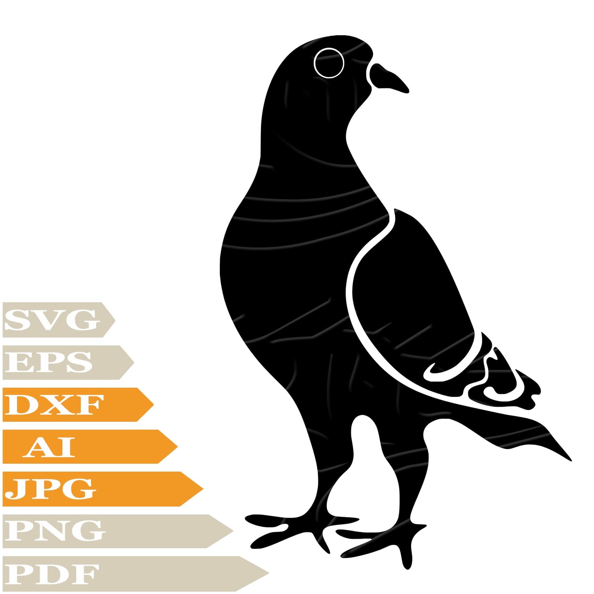 Pigeon SVG, Dove SVG Design, Bird Pigeon Vector Graphics, Pigeon For Cricut, For Tattoo, Clip Art, Cut File, T-Shirts, Silhouette, All Available