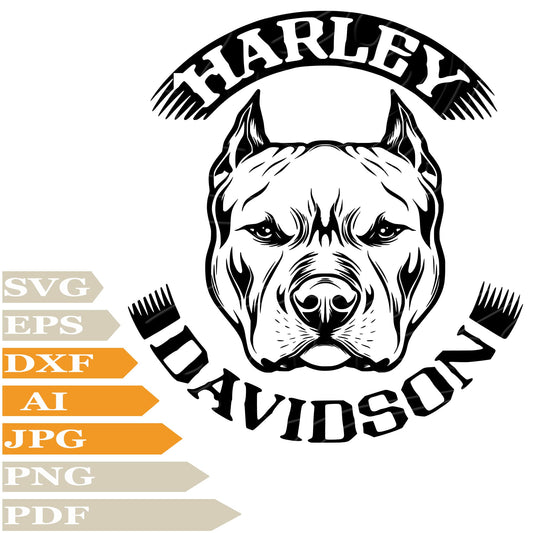 Pitbull ﻿SVG, Harley Davidson SVG Design, Pitbull harley Davidson Logo Personalised SVG, Pitbull Dog PNG, Harley Davidson Logo Vector Graphics, Pitbull Harley Davidson For Cricut, Digital Instant Download, Clip Art, Cut File, For Shirts, Silhouette