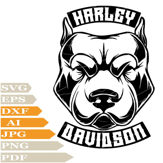 Pitbull SVG, Pitbull Harley Davidson Logo SVG Design, Harley Davidson Logo PNG, Pitbull Head Vector Graphics, Pitbull Harley Davidson Digital Instant Download, For Cricut, Clip Art, Cut File, T-Shirts, Silhouette
