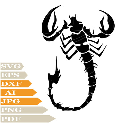 Scorpion SVG, Scorpions SVG Design, Poisonous Scorpions PNG, Poisonous Insect Scorpions Vector Graphics, Poisonous Scorpions Digital Instant Download, Scorpions For Cricut, Clip Art, Cut File, T-Shirts, Silhouette