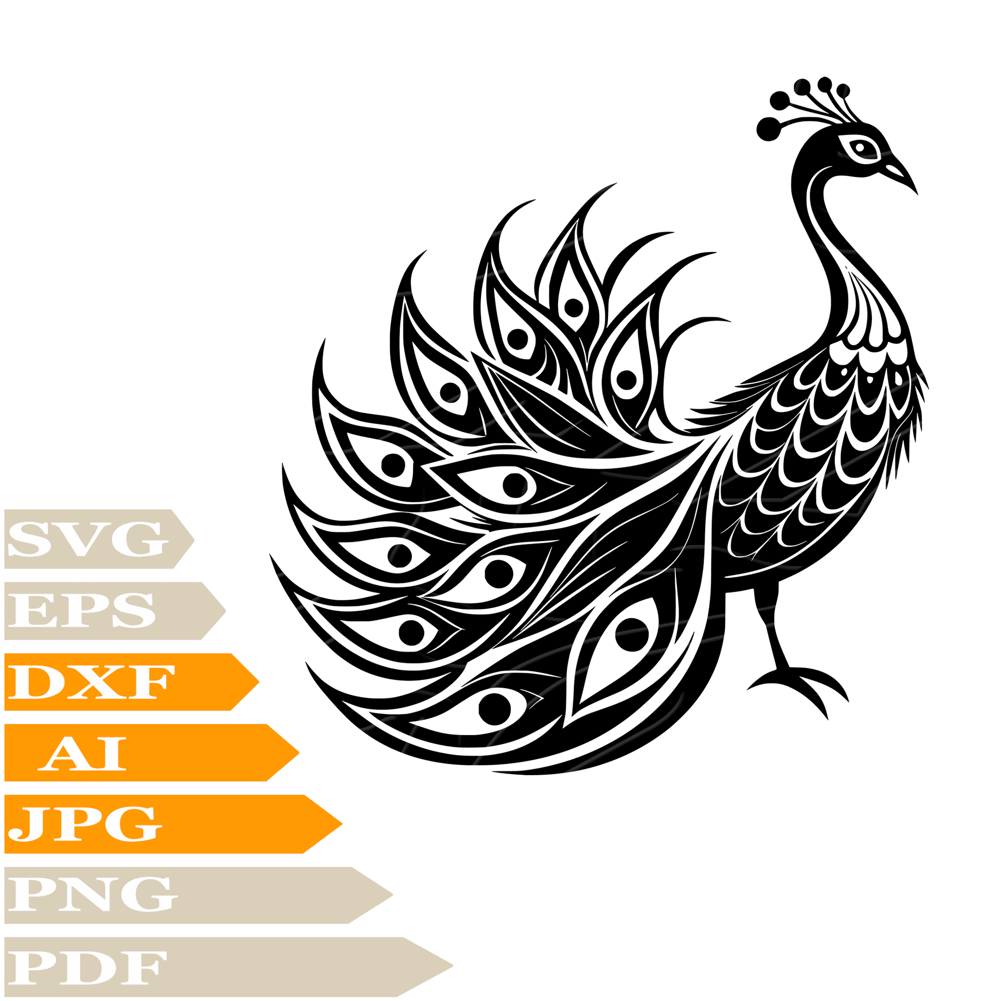 Peacock SVG, Feather SVG Design, Bird Peacock Vector, Peacock PNG, Peacock For Cricut, Peacock Cut File, Peacock For Tattoo Image Cut, Clipart, Print, Decal, Shirt