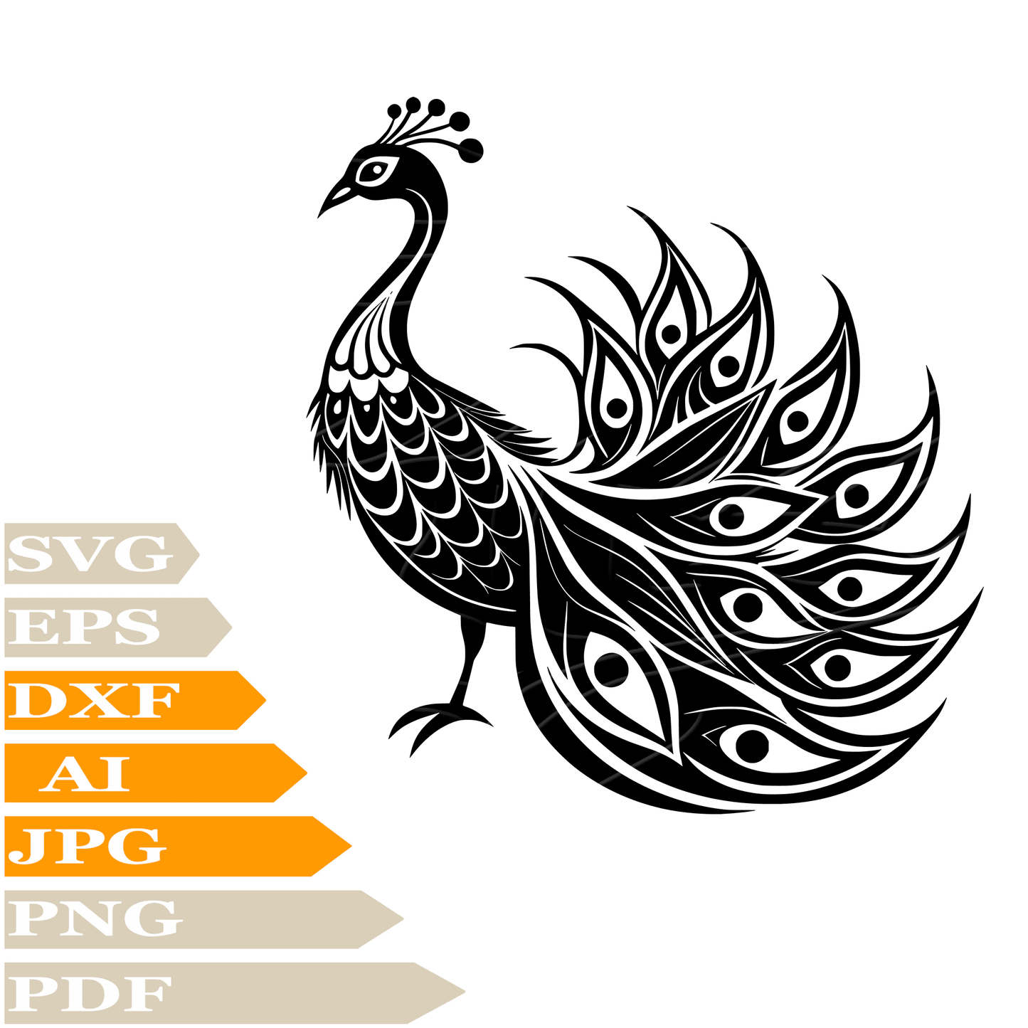 Peacock SVG, Feather SVG Design, Bird Peacock Vector, Peacock PNG, Peacock For Cricut, Peacock Cut File, Peacock For Tattoo Image Cut, Clipart, Print, Decal, Shirt