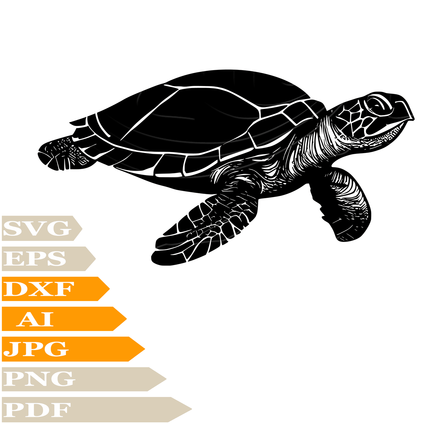 Turtle SVG-Sea Turtle Personalized SVG-Sea Turtle Drawing SVG-Sea Turtle Reptilia Vector ClipArt's-SVG Cut Files-Illustration-PNG-Decal-Circuit-Digital Files-For Shirts-Silhouette