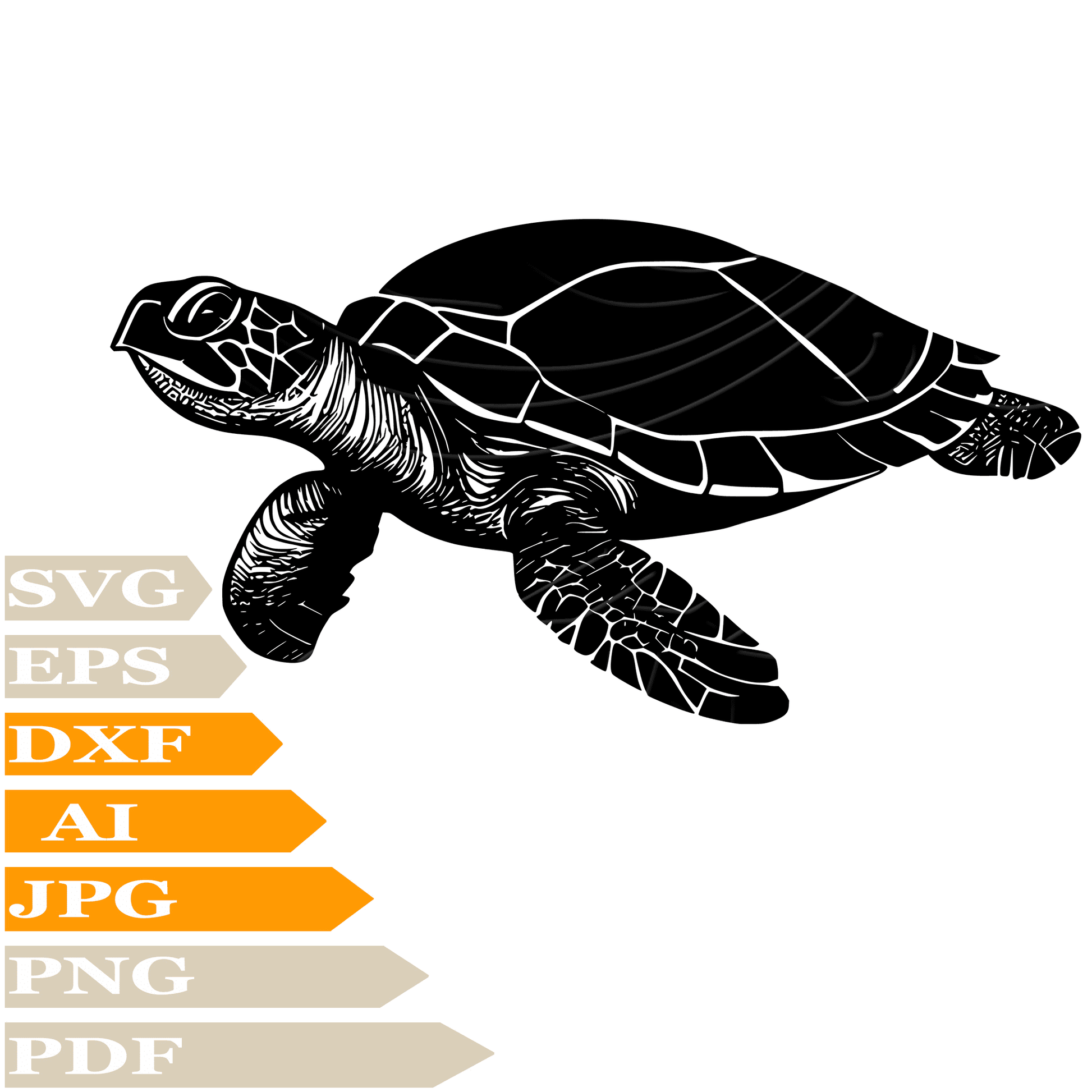 Turtle SVG-Sea Turtle Personalized SVG-Sea Turtle Drawing SVG-Sea Turtle Reptilia Vector ClipArt's-SVG Cut Files-Illustration-PNG-Decal-Circuit-Digital Files-For Shirts-Silhouette